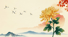 ���������ھջ����ɺ�ͼ