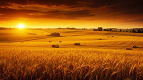 ��ɫ����Ϧ�����