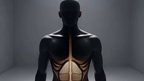 �Ƽ������弡������