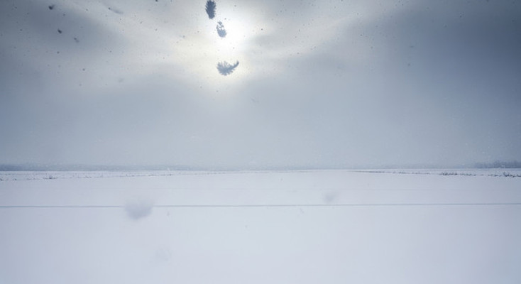 �տ��Ķ���ѩ��