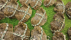 �����բз��д