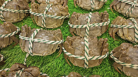 �����բз��д