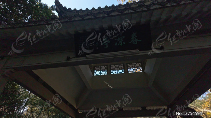 �����´���ͤ