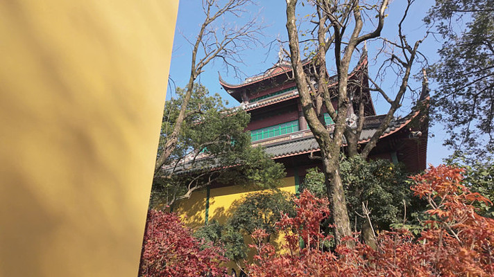 灵隐寺大雄宝殿侧面黄墙与红叶景观 灵隐寺大雄宝殿侧面黄墙与红叶景观