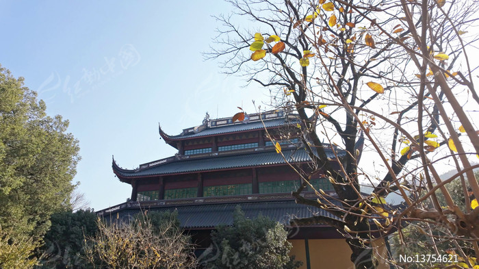 �����´��۱���Զ������