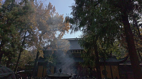 ��������ǰ���㳡��