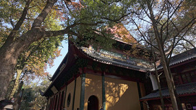 �������ﾰ�����ֻ��ƾ���