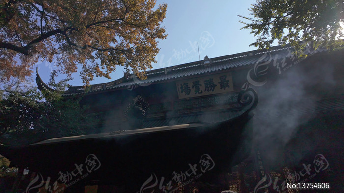 ���������չ���������Ƴ���