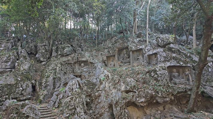 ������ʯ�߷���Ⱥ