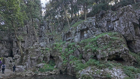 ������ʯ�߷���Ⱥ