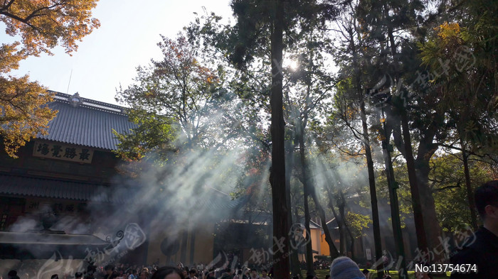 ����������ǰ��Ⱥ��������������