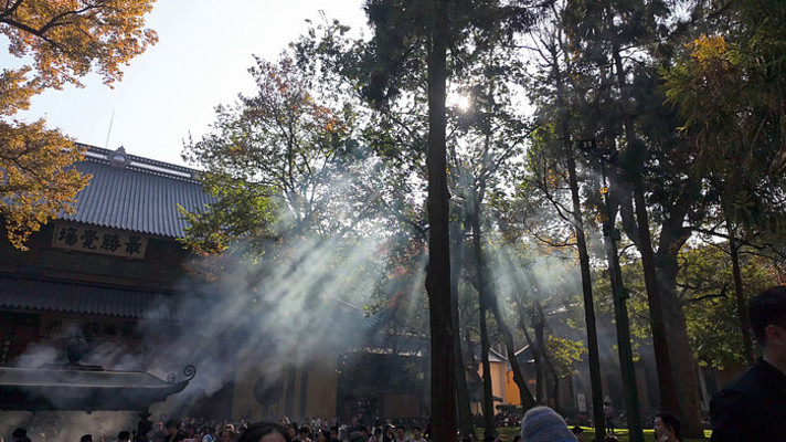 ����������ǰ��Ⱥ��������������