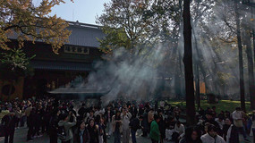 ������������Ⱥ������������