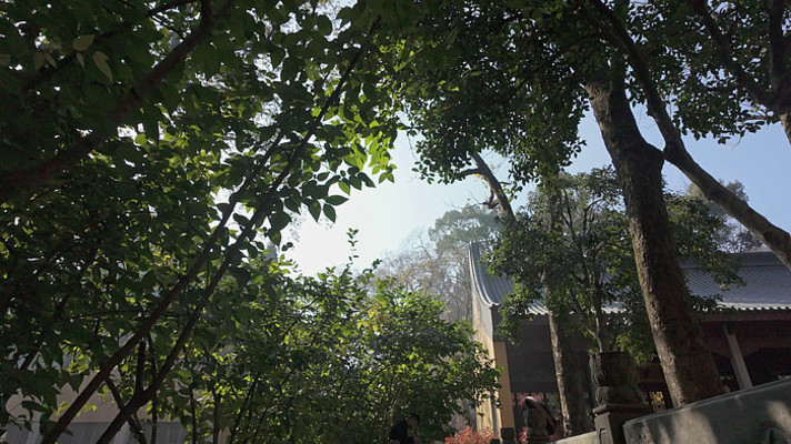 灵隐寺寺庙庭院树木光影斑驳 灵隐寺寺庙庭院树木光影斑驳