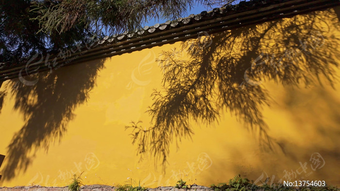 ��������Ժ��ǽ��Ӱ�߲�