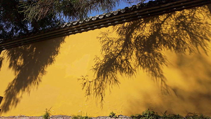 ��������Ժ��ǽ��Ӱ�߲�