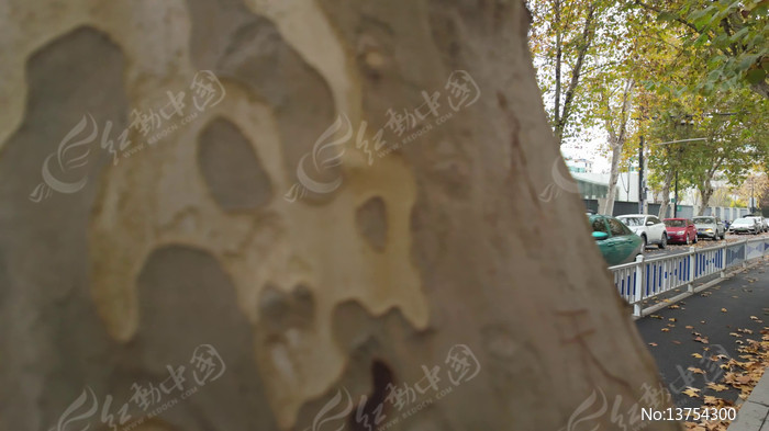 ��ƽ�ֵ����սֵ���綯������