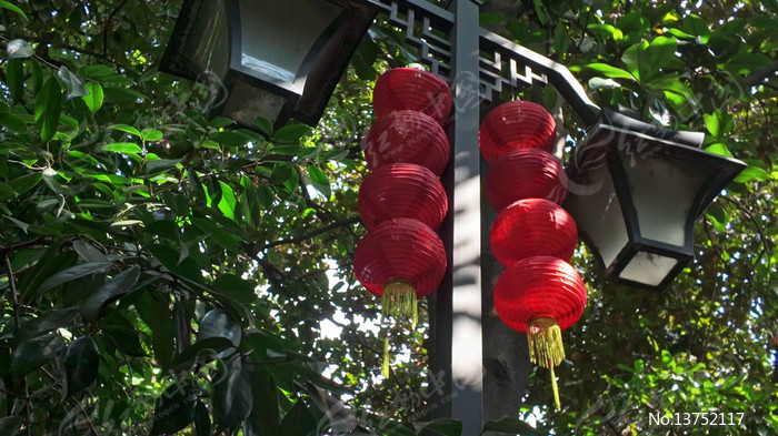 ·�������ҵĺ�ɫ����