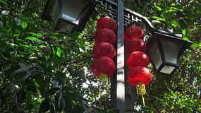 ·�������ҵĺ�ɫ����