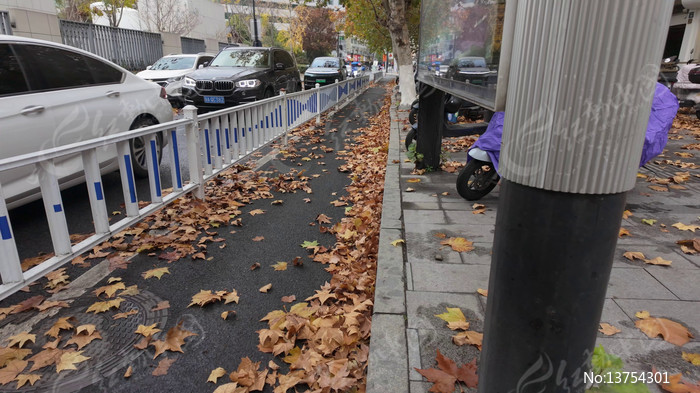 ��Ҷ�д��е���������