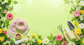 ��ɫ����������ױ��������