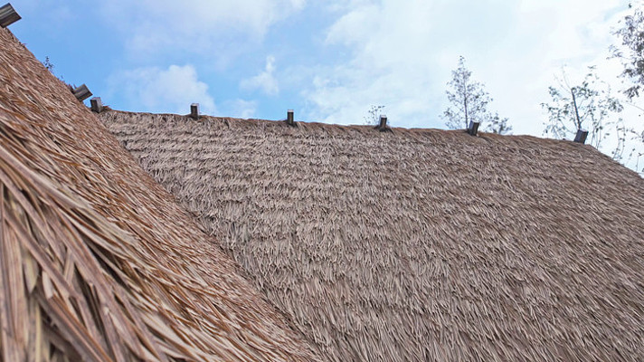 é���ݶ���д�ز�