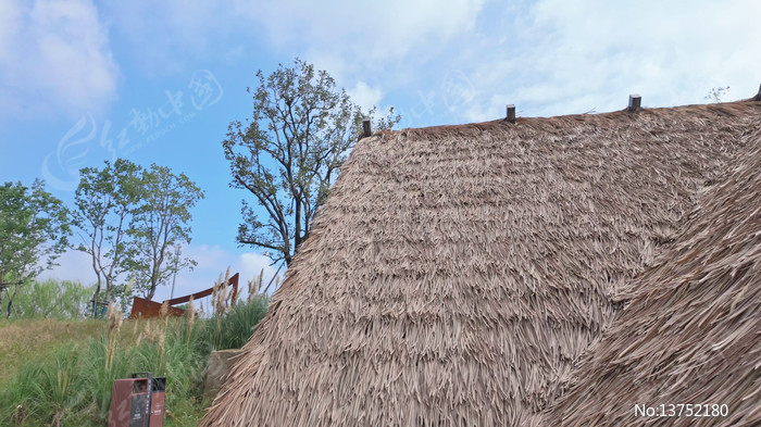 é���ݶ���д�ز�