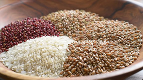 ľ���ж������������д