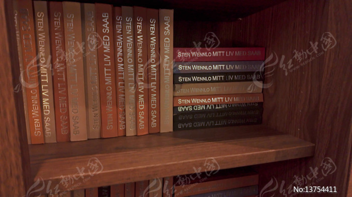 ľ������ϵ��鼮��д