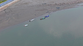 Ǯ��������ͣ���Ĵ�ֻ