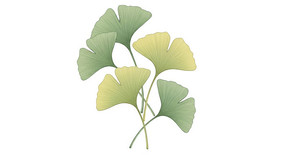 ��������Ҷ�廭