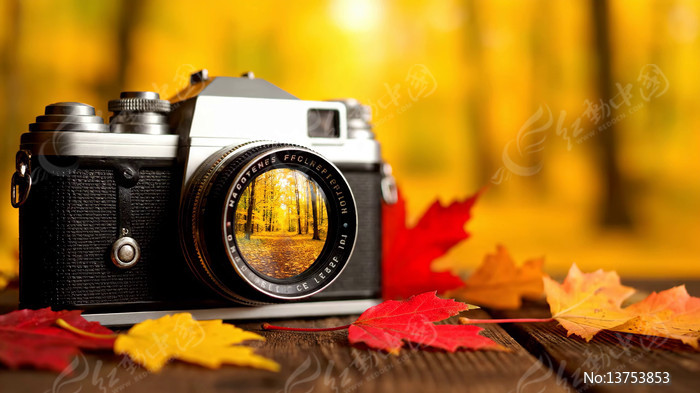 �＾��Ҷ�Եĸ�������ز�