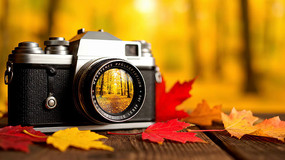 �＾��Ҷ�Եĸ�������ز�