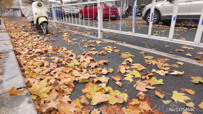 �＾�ֵ���綯��ѹ��Ҷ����