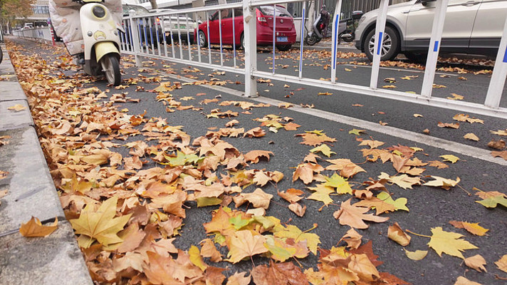 �＾�ֵ���綯��ѹ��Ҷ����