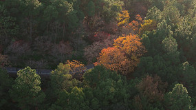 �＾��ƽɽ��԰�����