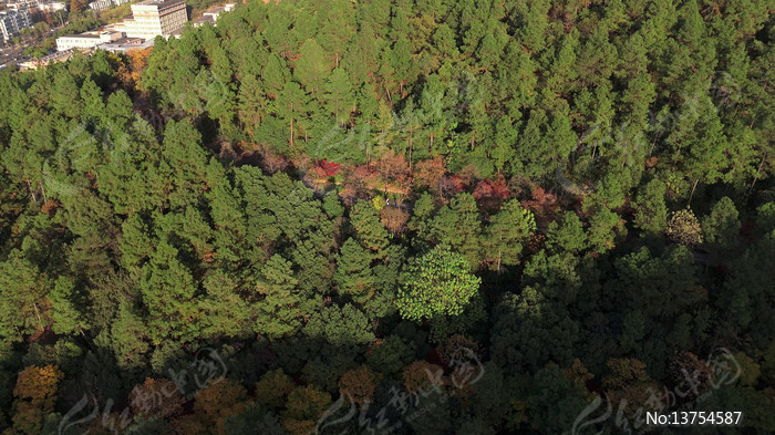 �＾��ƽɽ��԰�����