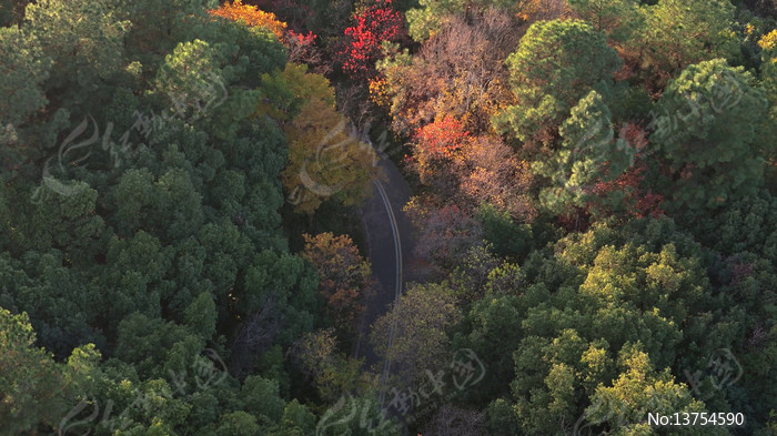 �＾��ƽɽ��԰�����