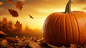 �＾�Ϲ���Ʈ����Ҷ����