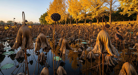 ���ղк�����������