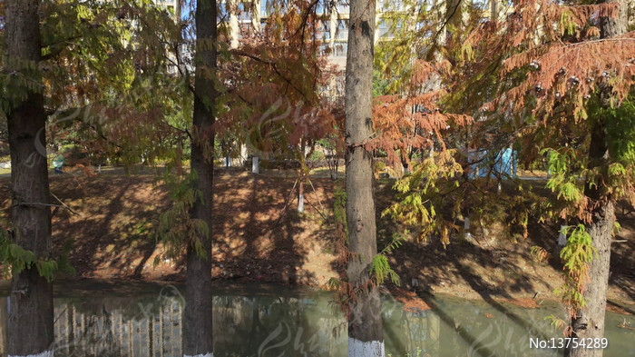 ���պӵ��ߵ�ˮɼ��