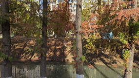 ���պӵ��ߵ�ˮɼ��