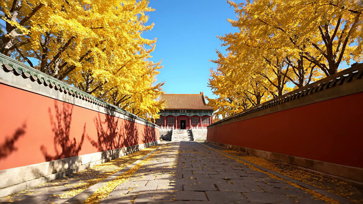 ���պ�ǽ���Ӵ��