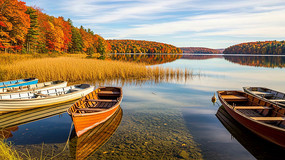 ���պ���ľ������