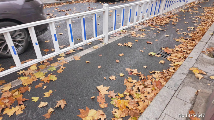 ���սֵ��綯��ʻ����Ҷ·