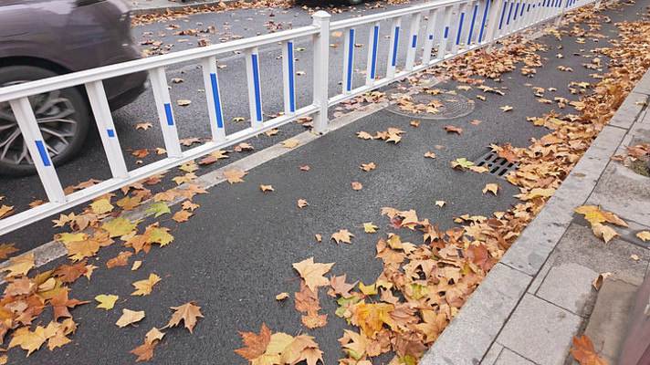 ���սֵ��綯��ʻ����Ҷ·