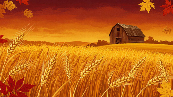 秋日麦田落叶动画 秋日麦田落叶动画