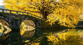 ����ʯ�������ӵ�Ӱ