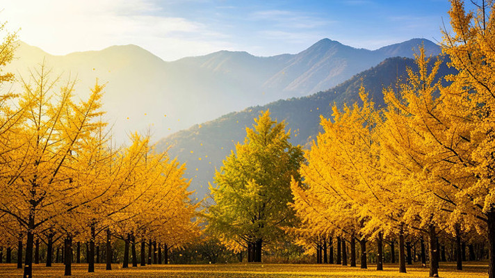 ����������Զɽ���