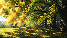 ����������Ҷ����